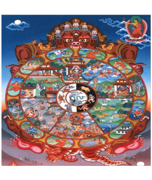 Wheel of life Wheel of life