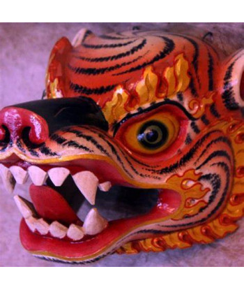 Tiger mask