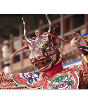 Ox mask